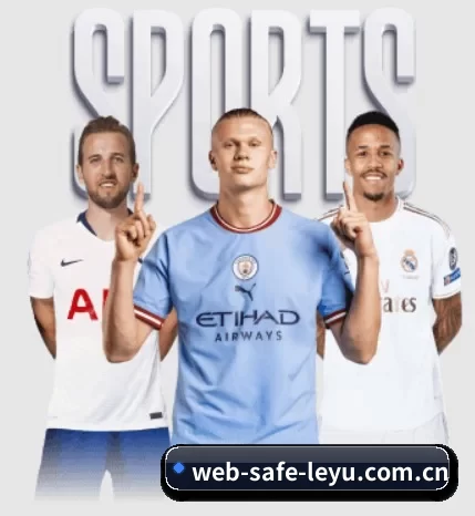 web-safe-leyu.com.cn的故事